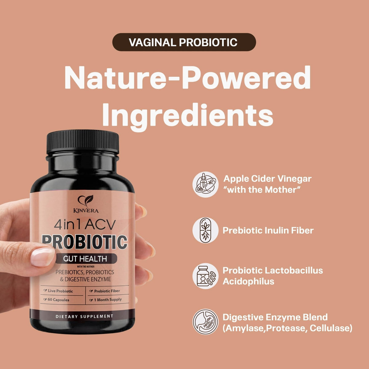 4-in-1 ACV Gut Formula – Apple Cider Vinegar, Prebiotics & Probiotics, Digestive Enzymes – Immune & Complete Digestion – 60 Veggie Capsules - Maple Wellness Supplements
