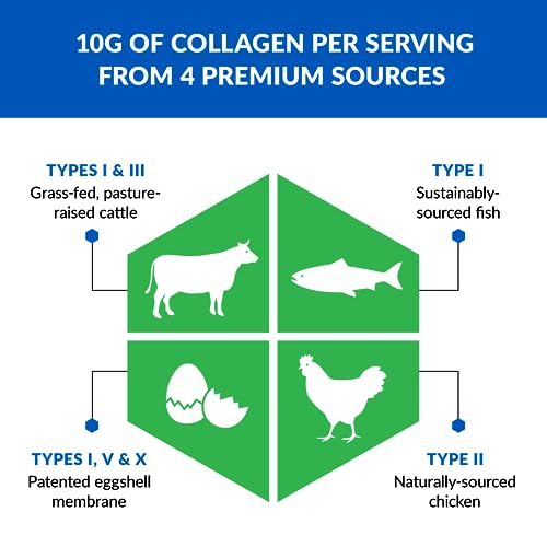 BioTrust Ageless Multi Collagen Protein Powder– 5 Collagen Types (I, II, III, V, X) BioTrustBuy Supplements Australia