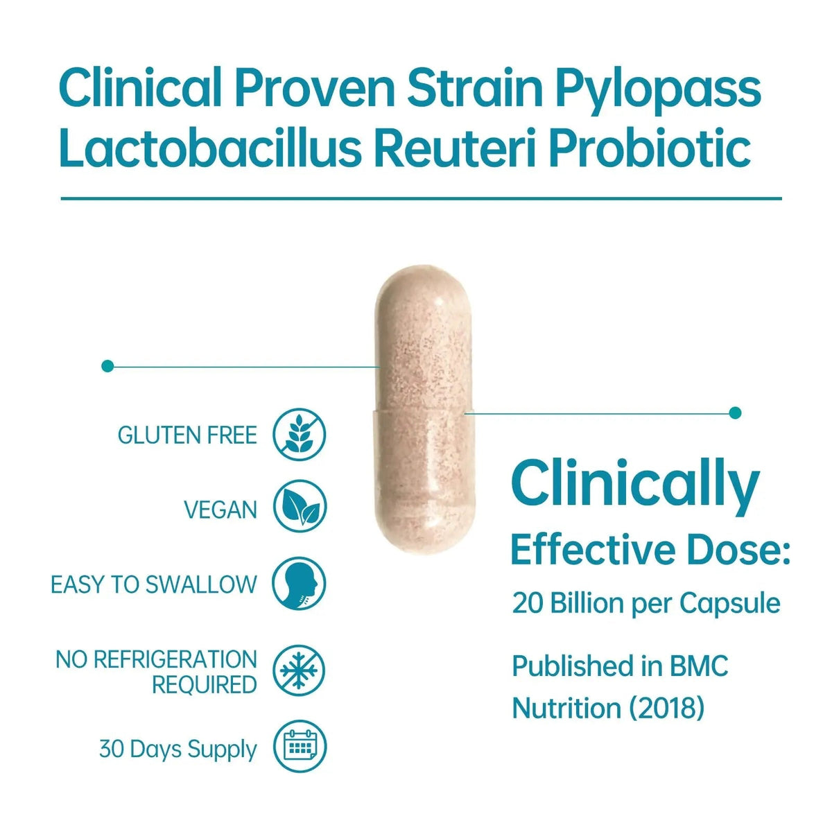 5-in-1 High Potency H. Pylori Probiotic, 1 Per Day - Supports Gastric Lining Integrity, Occasional Indigestion, Acid Comfort - Pylopass Lactobacillus Reuteri, Gluten Free, Vegan, 30ct, Made in Germany - Maple Wellness Supplements