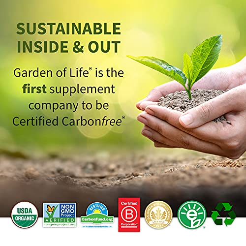 Garden of Life Dr Formulated Organic Fiber Supplement Powder Unflavored, Sugar Free Garden of LifeBuy Supplements Australia