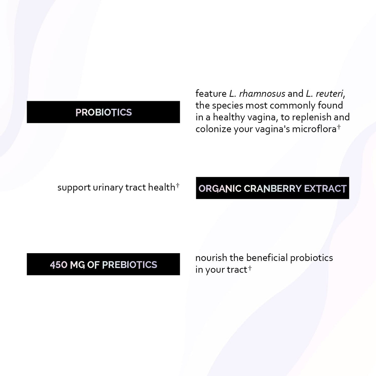 Undone By Nature Probiotic for Women, 50 Billion CFU Women's Probiotics with Prebiotics Undone By NatureBuy Supplements Australia