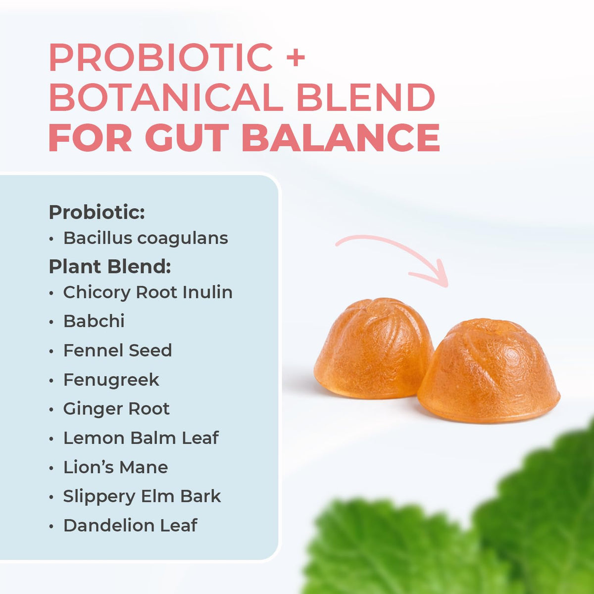 Buy supplements Nature’s NutriWave PrimeBiome Probiotic Gummies – Plant-Based Blend with Inulin, Lion’s Mane, Ginger & More– Non-GMO, No Stimulants, GMP Certified - Vitaza UK Supplements UK