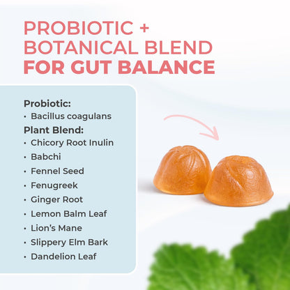 Buy supplements Nature’s NutriWave PrimeBiome Probiotic Gummies – Plant-Based Blend with Inulin, Lion’s Mane, Ginger & More– Non-GMO, No Stimulants, Vitaza UK Supplements UK