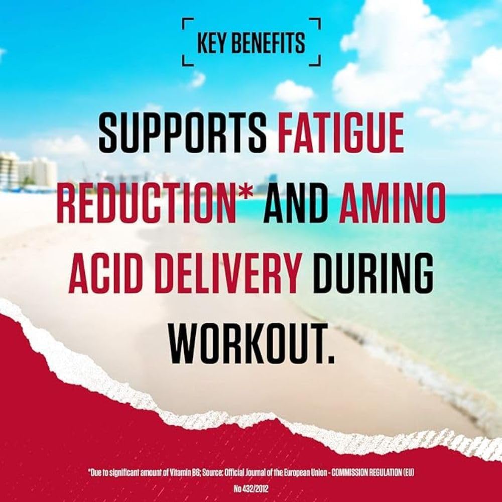 BSN Nutrition Amino X Supplement with Vitamin D, Vitamin B6 and Amino Acids BSNBuy Supplements Australia