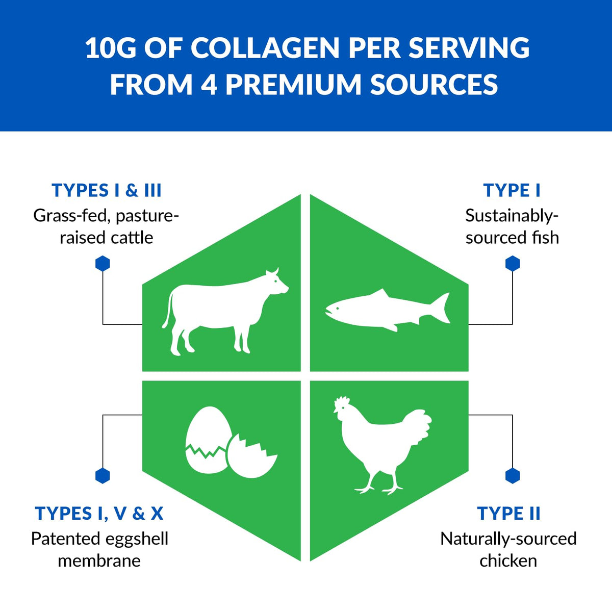 BioTrust Multi-Collagen Protein Powder + Keto MCT Oil – 5 Collagen Types Plus 100% BioTrustBuy Supplements Australia