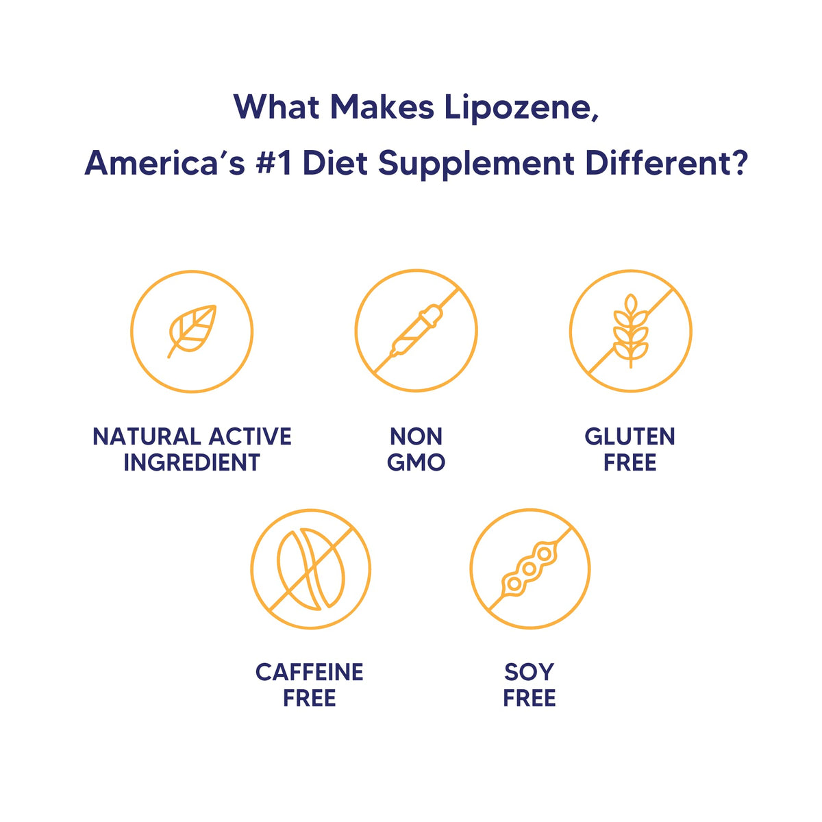 Lipozene Diet Pills - Weight Loss Supplement - Appetite Control - Two Bottles of 30 Capsules LipozeneBuy Supplements Australia