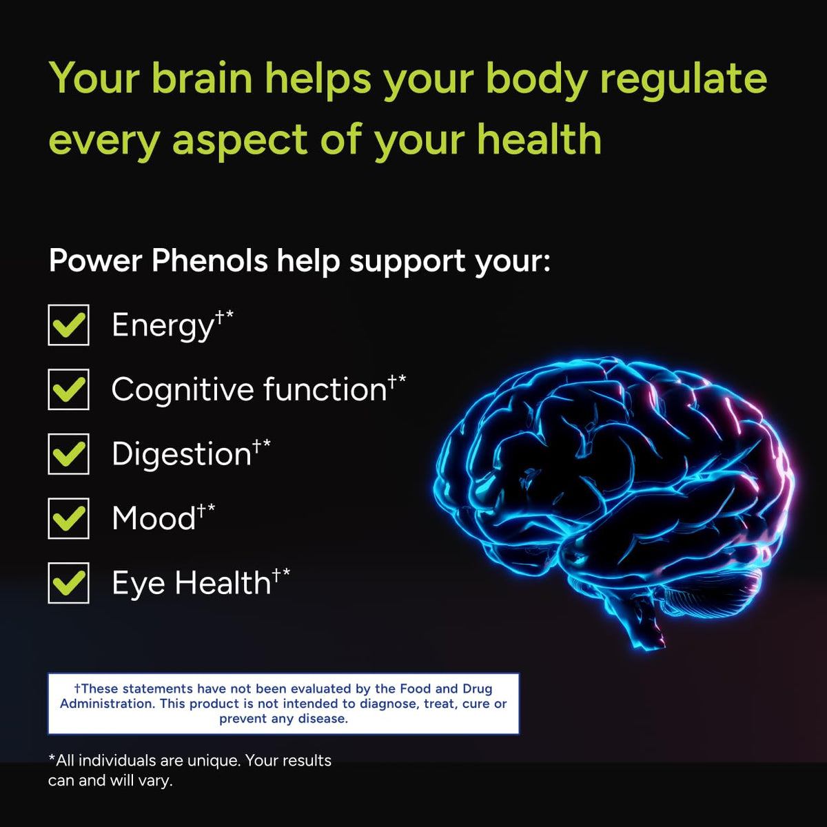 Buy supplements Gundry MD Power Phenols Brain Health Supplement for Cognition, Focus, Motivation, Productivity, and Energy - (30 Servings) - Vitaza UK Supplements UK