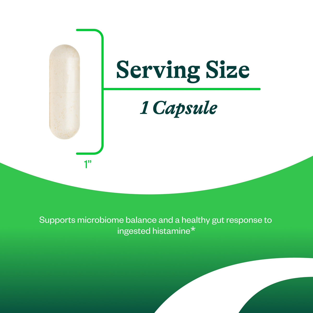Buy supplements Seeking Health ProBiota HistaminX - Digestion Supplement for Gut Health Support - Support Histamine with Lactobacillus Plantarum & Lactobacillus Salivarius - Vitaza UK Supplements UK