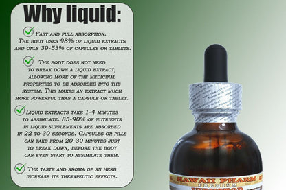 Wild Yam Liquid Extract, Wild Yam (Dioscorea Villosa) Tincture 4x4 oz HawaiiPharmBuy Supplements Australia