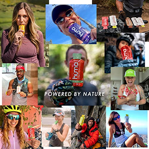 Huma Chia Energy Gel, Apples & Cinnamon, 12 Gels - Premier Sports Nutriti