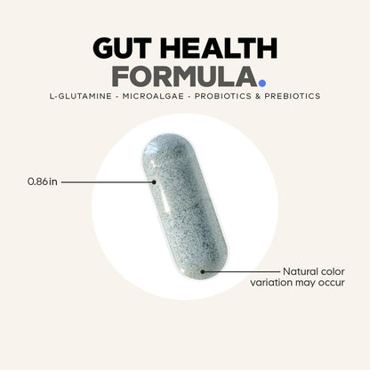 Buy supplements Codeage Gut Health Supplements Vegan Formula - L Glutamine, Zinc, Turkey Tail Mushroom Powder, Tonic Mushroom, Maitake, Micro Algae, Mineral, Vitaza UK Supplements UK