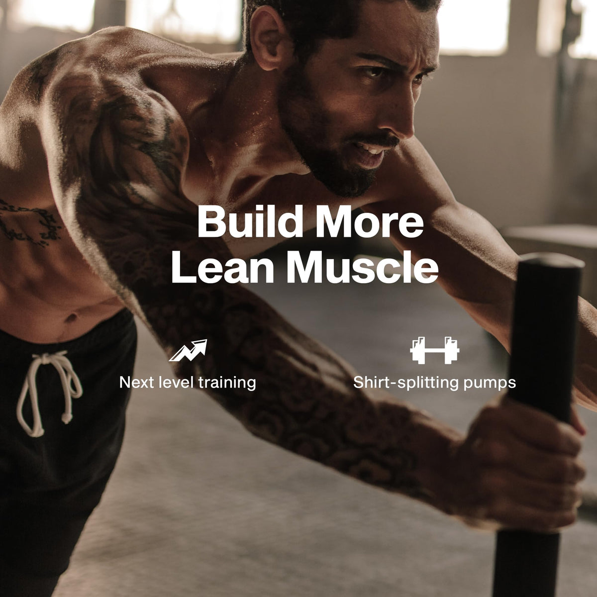 Buy supplements Muscletech Nitric Oxide Supplements for Men & Women, Muscle Builder (60 Capsules) - Nitric Oxide Booster Supplement Supports Muscle Gain & Performance - Vitaza UK Supplements UK