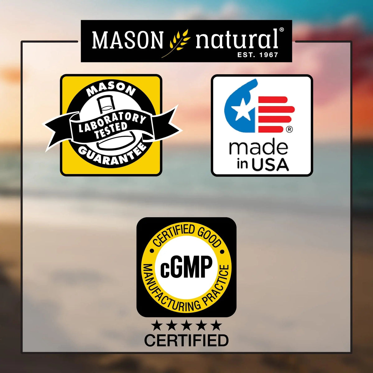 MASON NATURAL, Mens Daily Formula Equivalent to One a Day Mens Brand Tablets - 100 ea MASON NATURAL