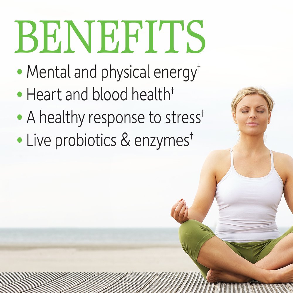 Buy supplements Garden of Life Vitamin B Complex, 120 Vegan Capsules, High Potency Vitamins for Energy & Metabolism with B6, Folate & B12 - Vitaza UK Supplements UK