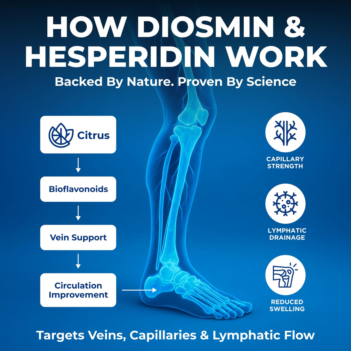 Buy supplements We Like Vitamins Diosmin Hesperidin 1000mg – 180 Capsules – 90 Day Supply - Diosmin and Hesperidin Supplement – Helps to Support Healthy Circulation, Vitaza UK Supplements UK