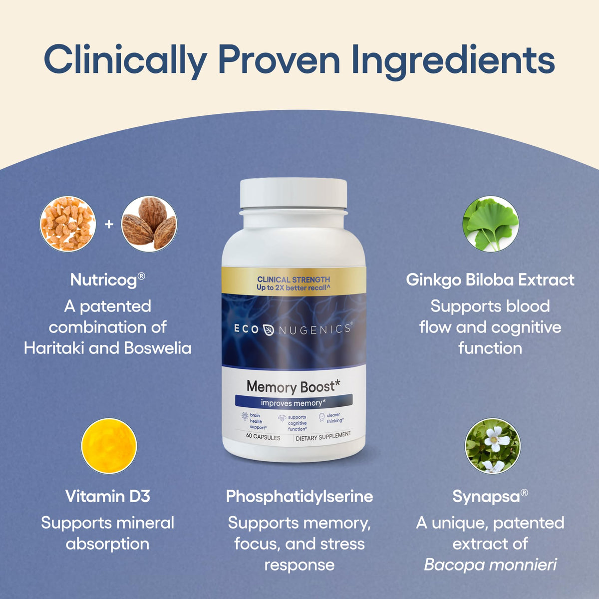 Buy supplements EcoNugenics Memory Boost Supplement – Clinically Studied Ingredients to Support Brain Focus & Health – Nootropic Formula with Bacopa Monnieri, Boswellia Serrata - Vitaza UK Supplements UK