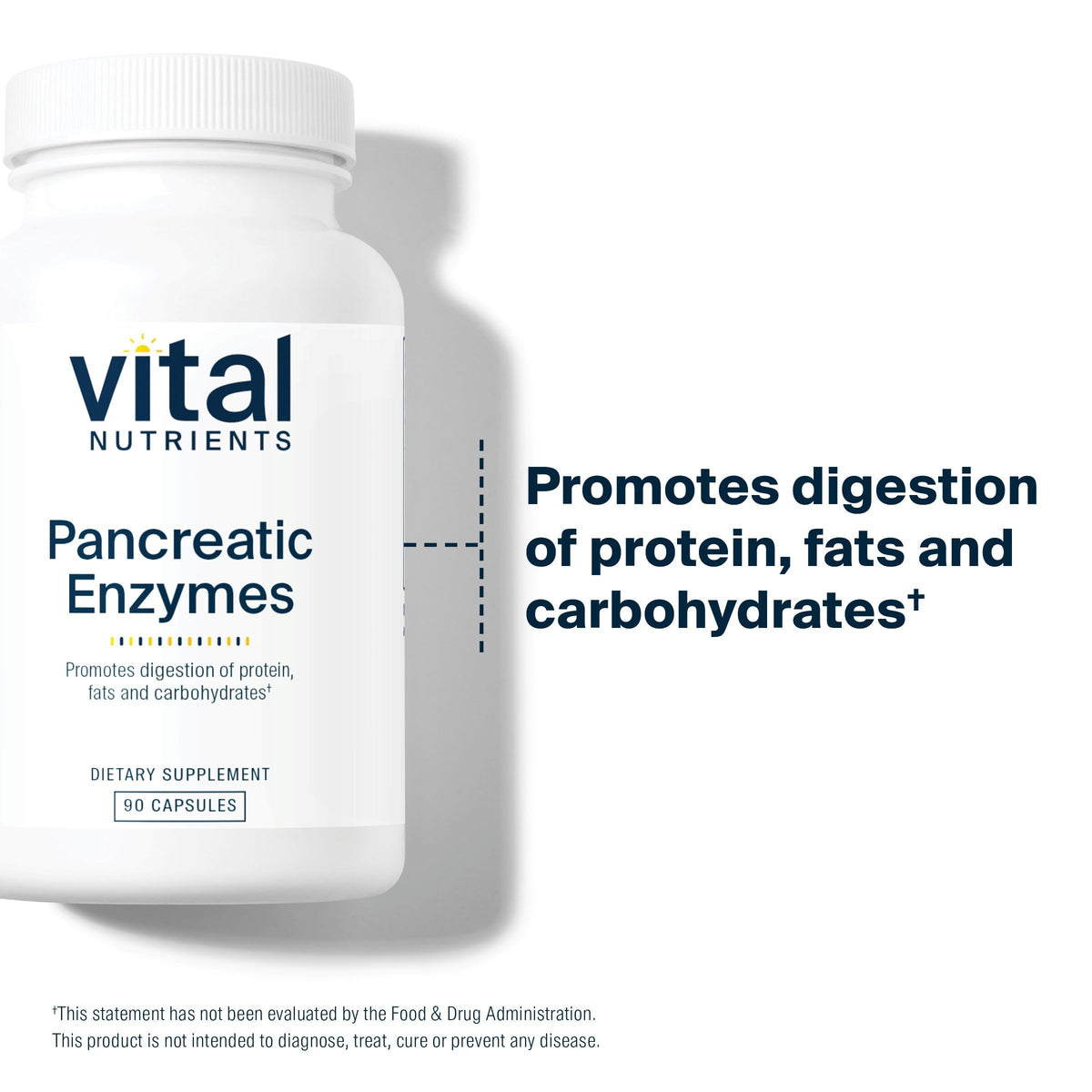 Buy supplements Vital Nutrients Pancreatic Enzymes 1000mg (Full Strength) - Pancreatin Digestion Supplement with Protease, Amylase & Lipase - Digestive Enzymes - Vitaza UK Supplements UK