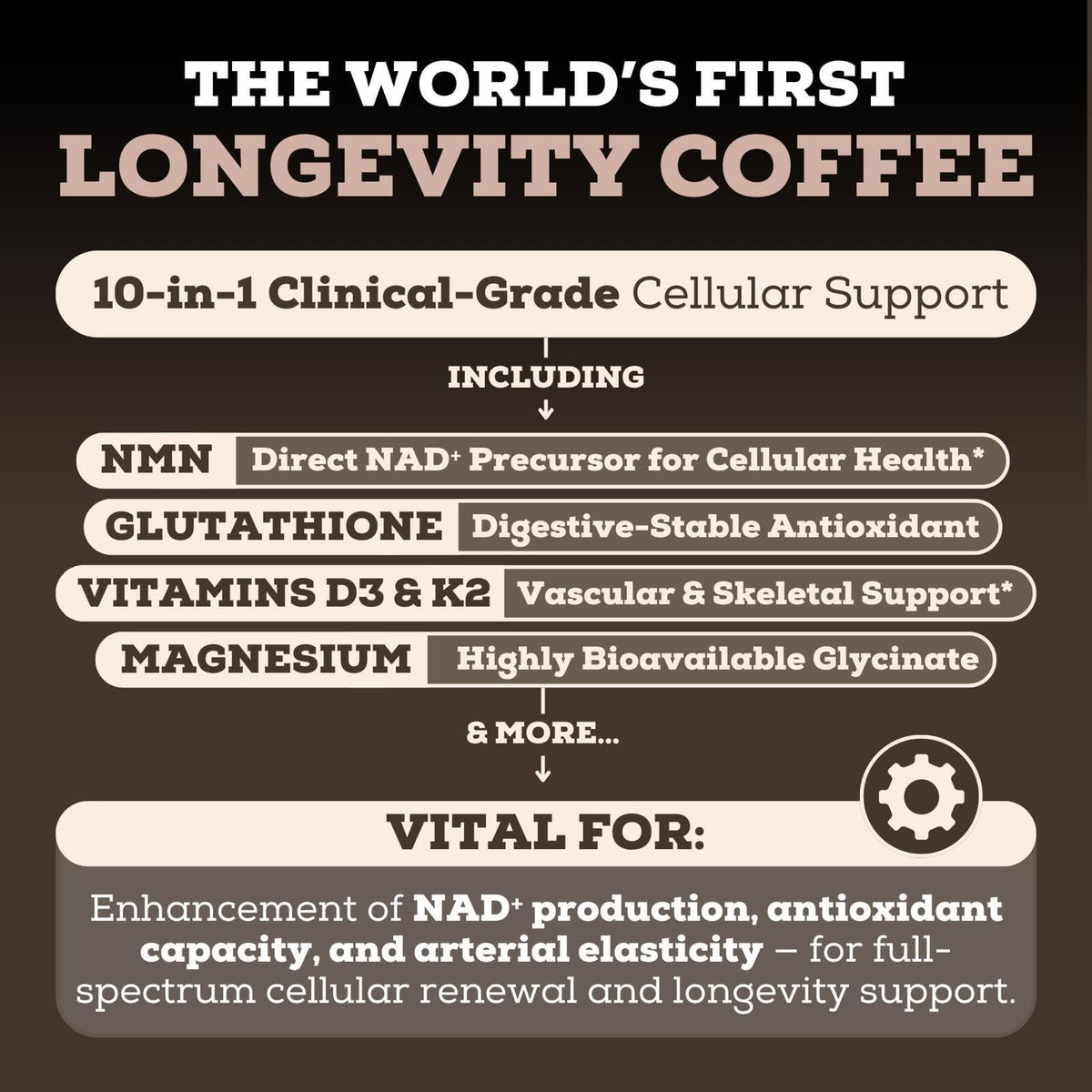 Buy supplements Black Forest Longevity Mix Liquid NAD+ Alternative Mocha Coffee 10-in-1 with NMN 250mg, Glutathione 250mg, TMG, Magnesium Glycinate, Vitamins D3 K2 C B12, High Polyphenol Cocoa, 30 Servings - Vitaza UK Supplements UK