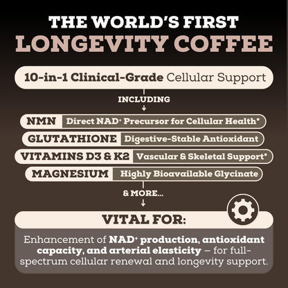 Buy supplements Black Forest Longevity Mix Liquid NAD+ Alternative Mocha Coffee 10-in-1 with NMN 250mg, Glutathione 250mg, TMG, Magnesium Glycinate, Vitamins D3 K2 C B12, High Polyphenol Cocoa, 30 Servings - Vitaza UK Supplements UK