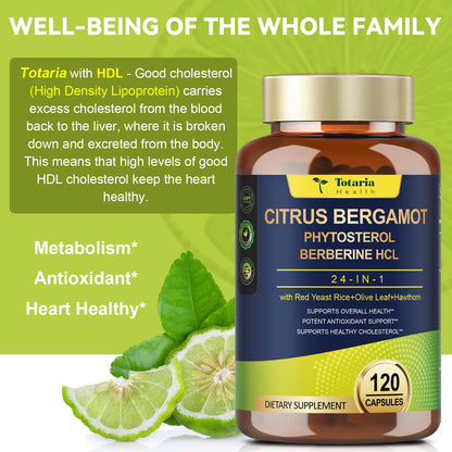 Buy supplements Citrus Bergamot Supplement for High Cholesterol - Italian Citrus Bergamot & Plant Sterols Stanols Natural Way to Balance Cholesterol Level, Vitaza UK Supplements UK