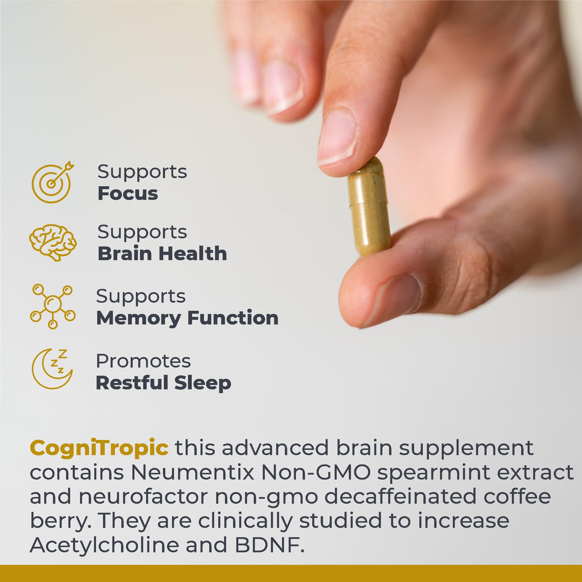 Buy supplements Premier Research Labs Cognitropic - Supplements for Memory and Focus, Focus Supplement, Brain and Memory Power Boost, Clarity Vitamins - Vitaza UK Supplements UK