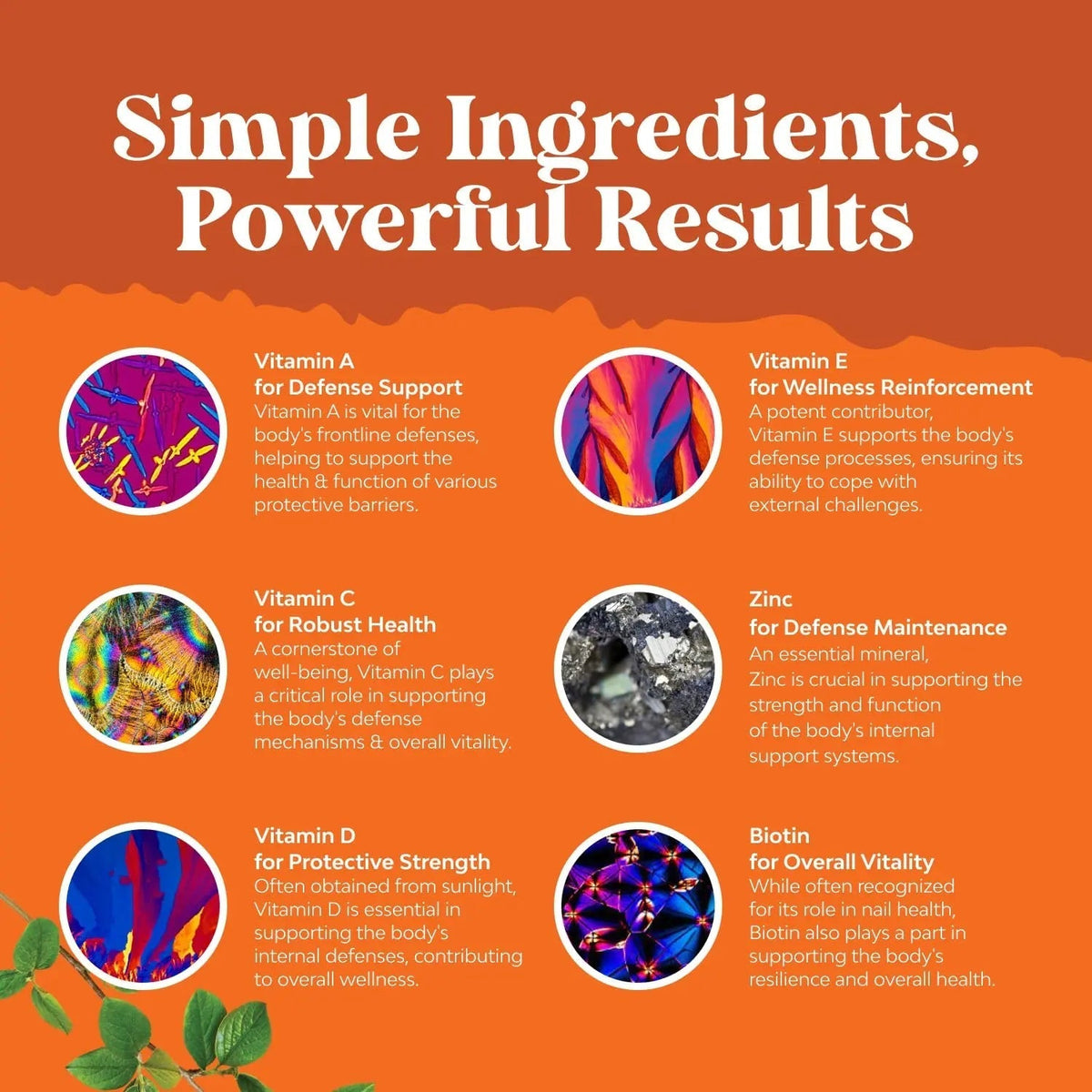 Bundle of Potent Daily Multivitamin Gummies - Wellness Blend of Vitamin D A C E B12 Zinc & Biotin for Energy & Immunity and Vitamin D3 Gummies Natures CraftBuy Supplements Australia