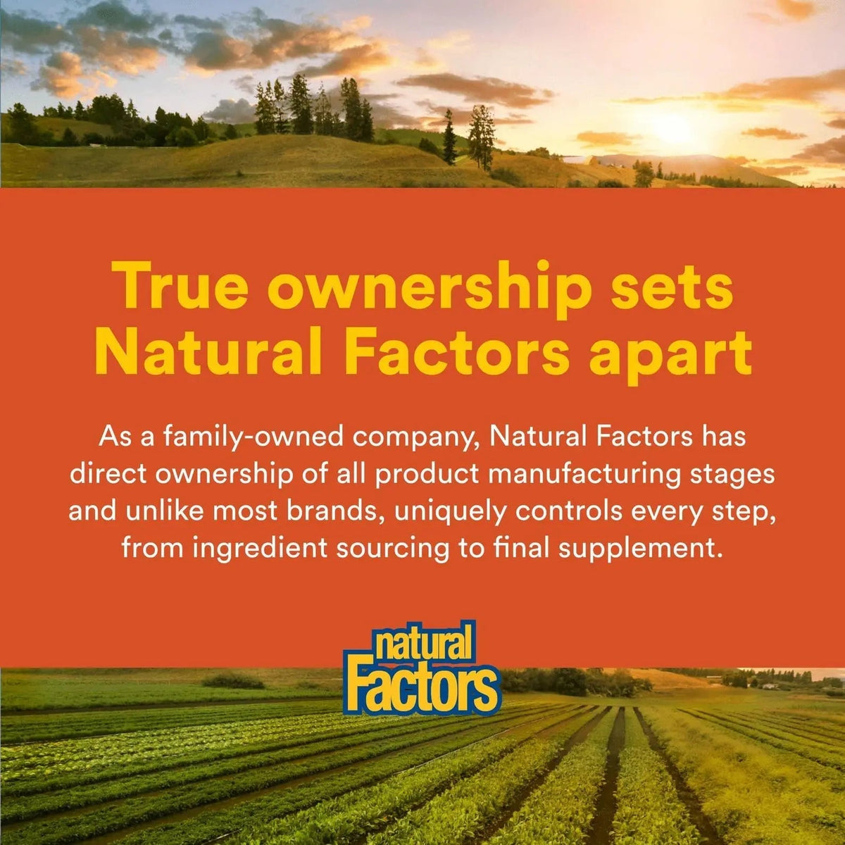 Natural Factors Hi Potency B Complex, 50 mg, 90 Capsules Natural FactorsBuy Supplements Australia