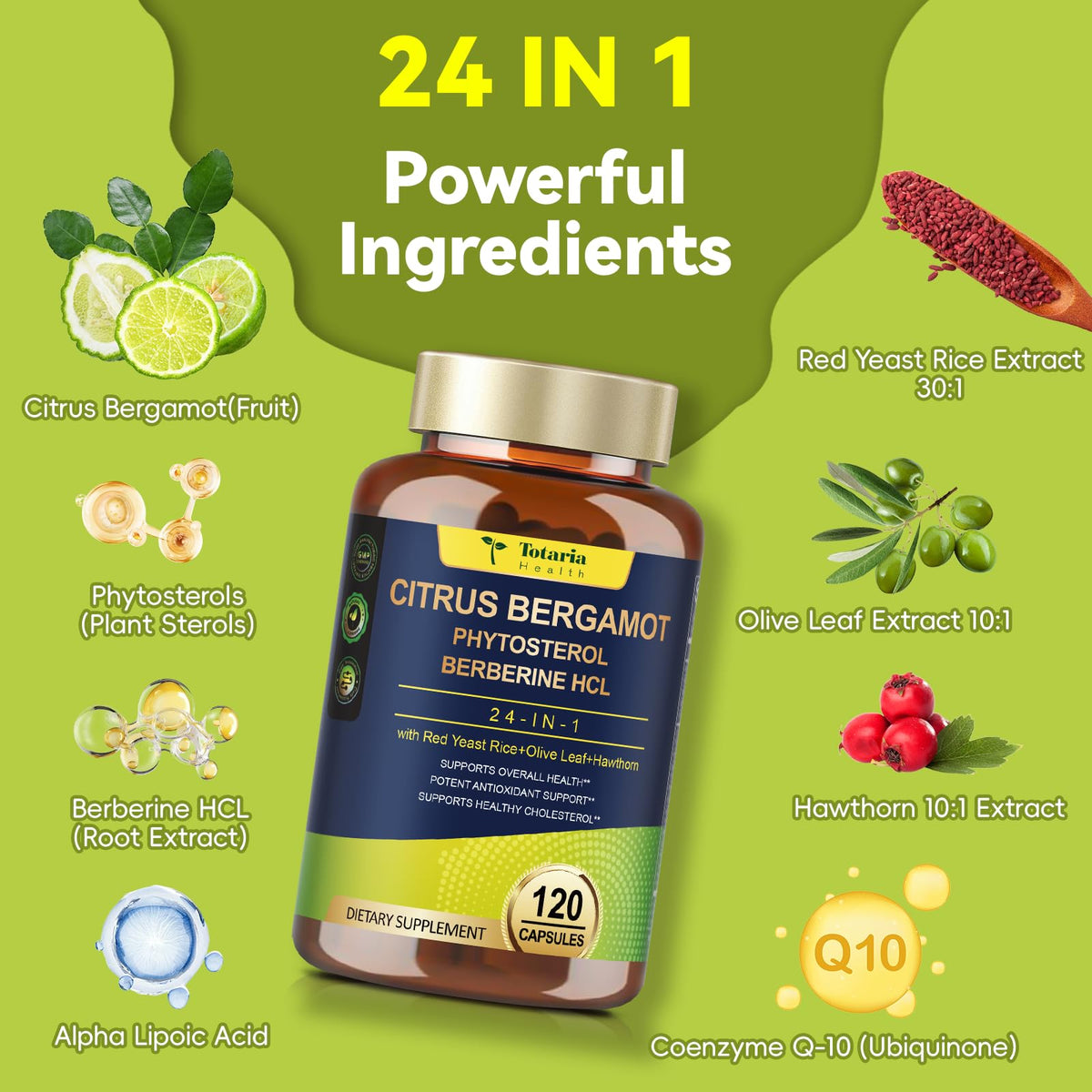 Buy supplements Citrus Bergamot Supplement for High Cholesterol - Italian Citrus Bergamot & Plant Sterols Stanols Natural Way to Balance Cholesterol Level, Vitaza UK Supplements UK