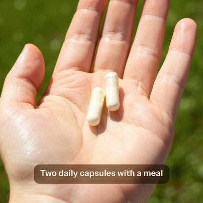 Buy supplements TruHeight Growth Capsules - Tall Nutrition for Natural Growth Supplement for Kids & Teens - Pediatric Vitamin D, K, Calcium & Ashwagandha - Bone Strength - Vitaza UK Supplements UK