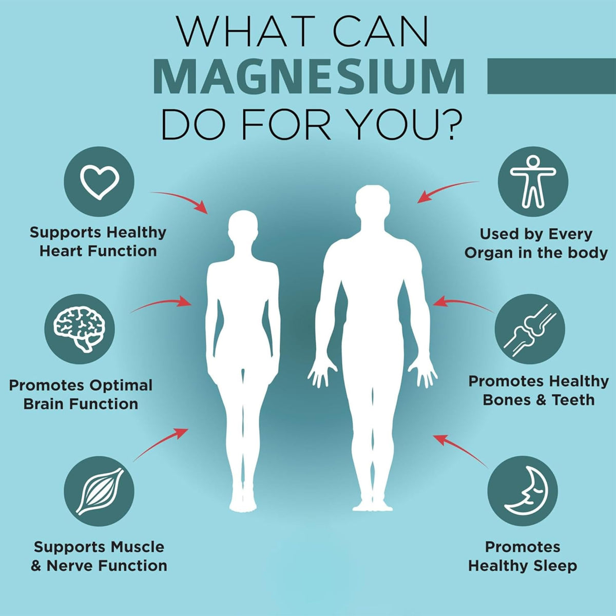 Buy supplements OmniBiotics Magnesium Glycinate Supplement – with 100% Pure Albion TRAACS Bisglycinate Chelate for Sleep, Muscle - Vitaza UK Supplements UK