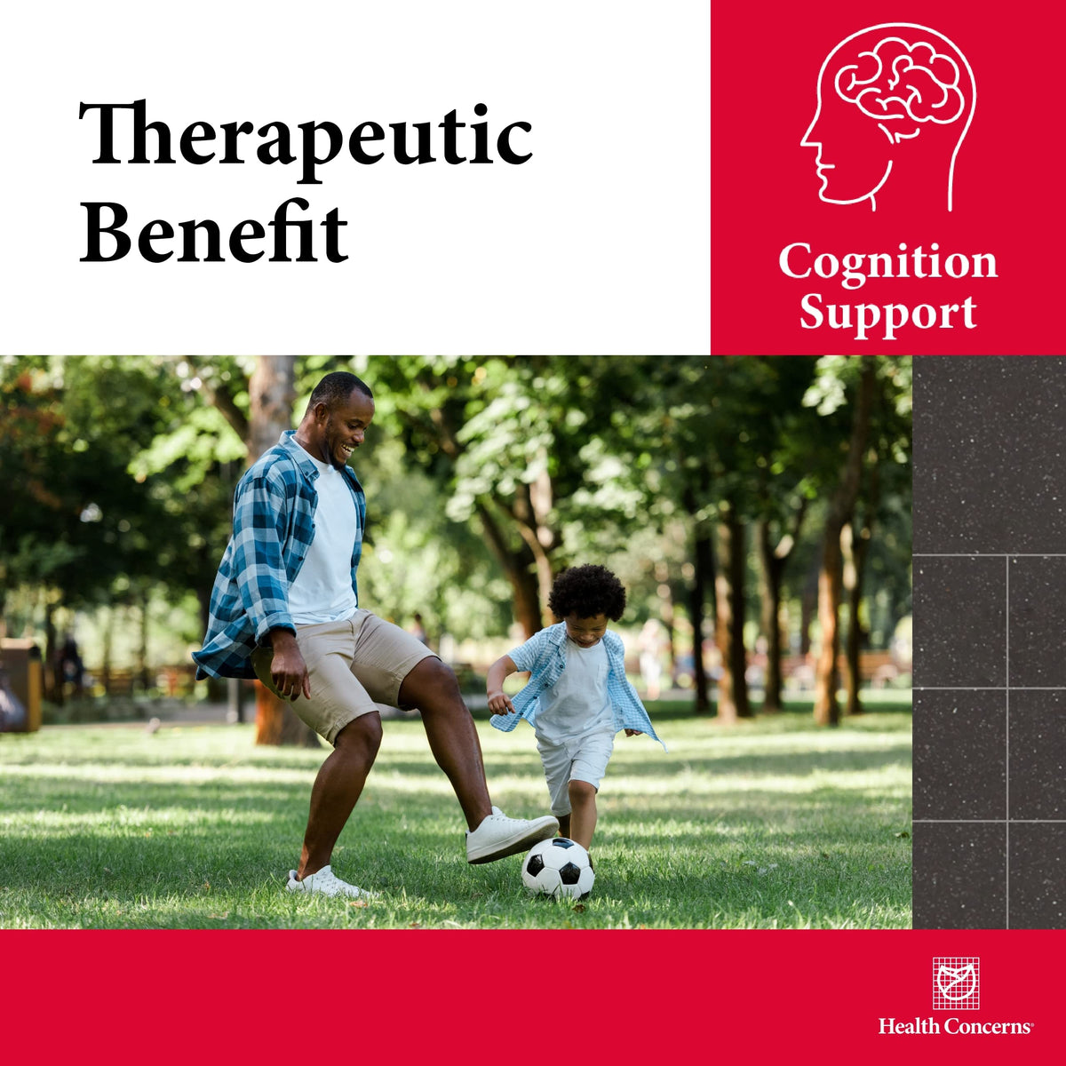 Buy supplements Health Concerns Cogni-Spark – Brain Support for Memory, Focus, and Mental Clarity – Alpha-GPC Choline Supplement for Cognition, Nerve Function & Longevity - Vitaza UK Supplements UK