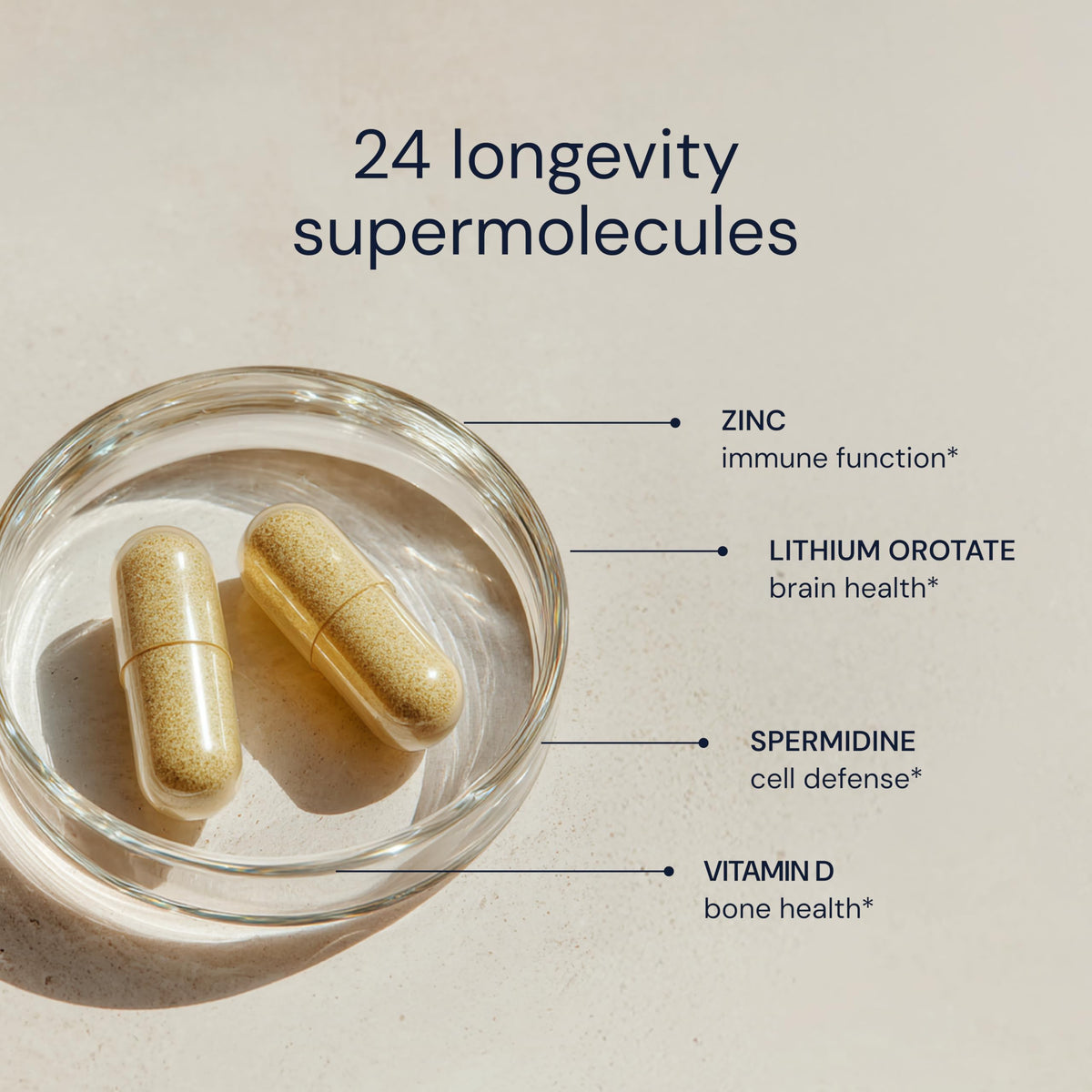 Buy supplements Blueprint Bryan Johnson Essential Capsules - Daily Multivitamin/Multimineral for Women and Men - Antioxidant Supplement with Calcium, Vitamin B1, Vitamin D, and Zinc - Vitaza UK Supplements UK