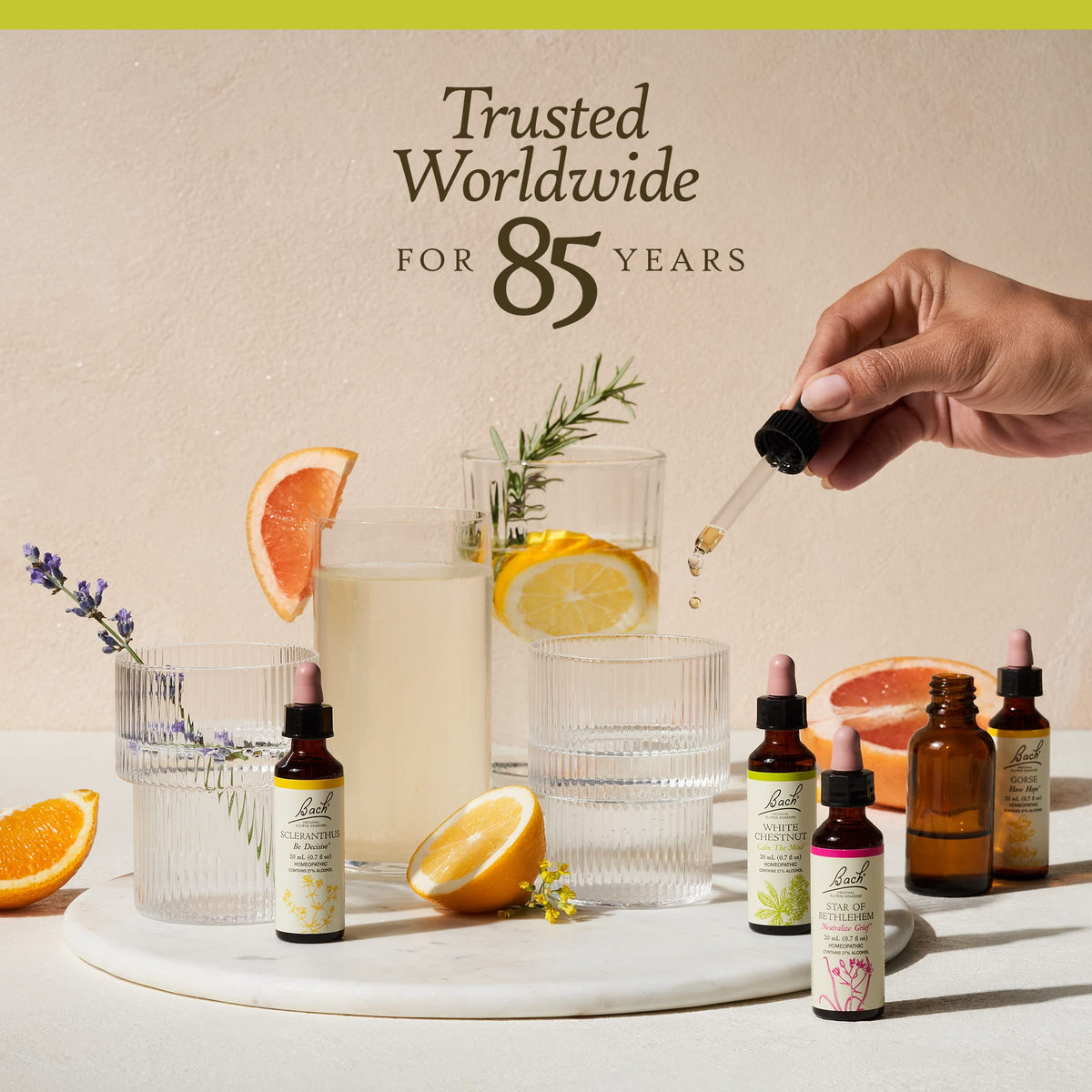 Bach Original Flower Remedies, Honeysuckle for Embracing The Now (Non-Alcohol Formula) BachBuy Supplements Australia