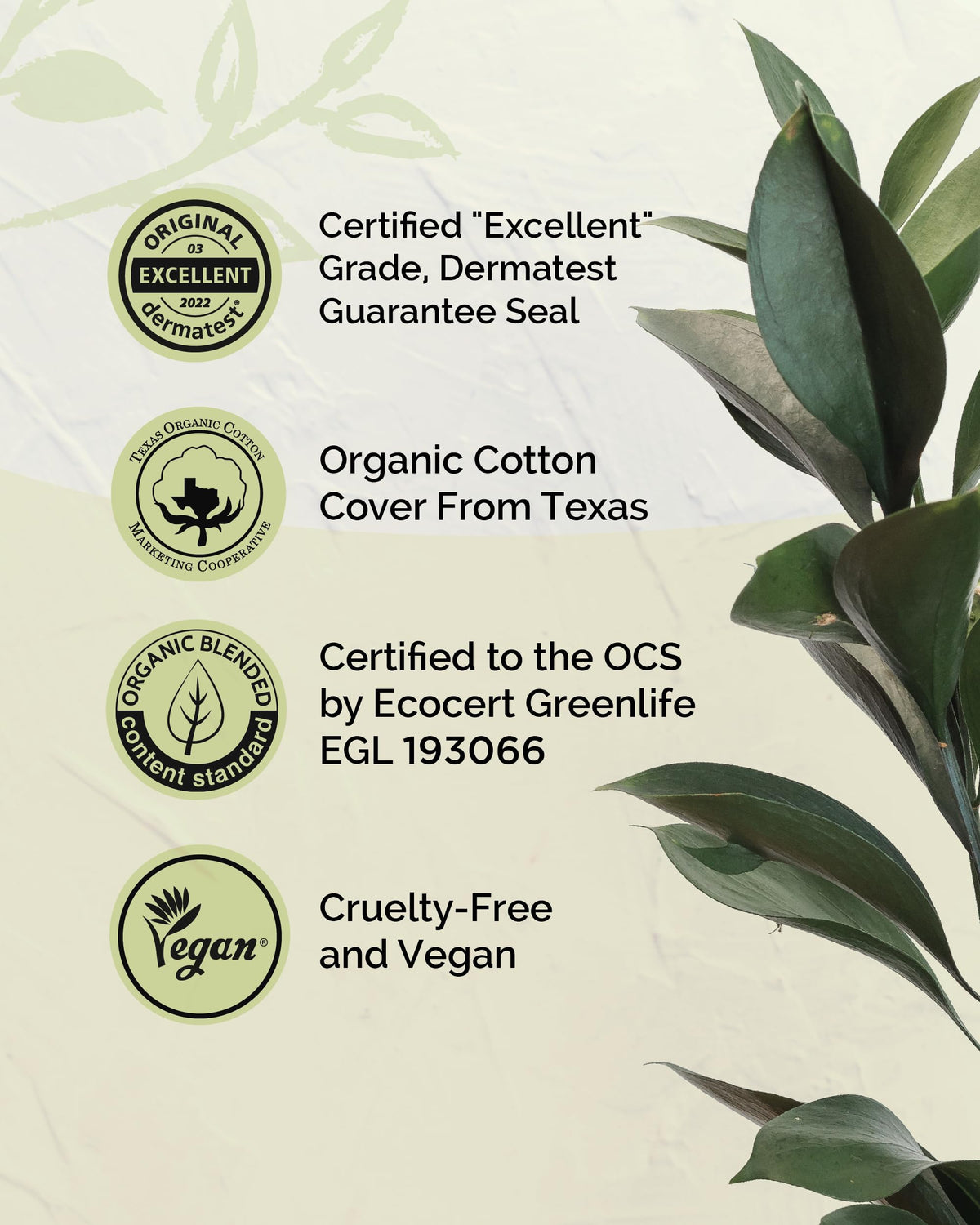 LABON Premium Vegan Organic Sanitary Pads (Regular, 25cm, 32 Counts) - 100% Organic Cotton Cover OCBONBuy Supplements Australia