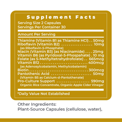 Buy supplements Premier Research Labs Complete B - Vitamin B Complex Supplement for Optimal Health | Vitamin B Supplement with Biotin | 9 Active B Vitamins | for Liver - Vitaza UK Supplements UK