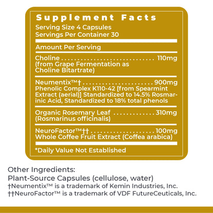 Buy supplements Premier Research Labs Cognitropic - Supplements for Memory and Focus, Focus Supplement, Brain and Memory Power Boost, Clarity Vitamins - Vitaza UK Supplements UK