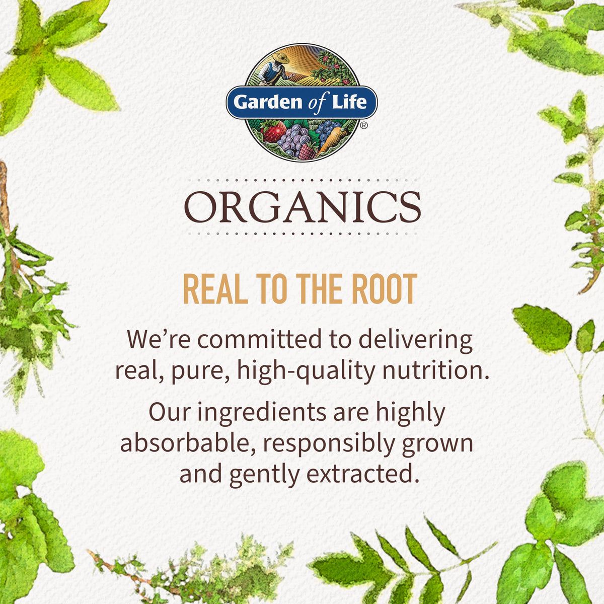 Buy supplements Garden of Life Organics Men's Gummy Vitamins - Berry - Certified Organic, Non-GMO, Vegan, Kosher Complete Multi - Methyl B12, C & D3 - Gluten - Vitaza UK Supplements UK