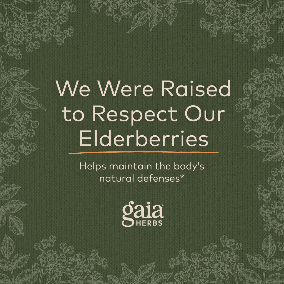 Gaia Herbs Black Elderberry (Sambucus Nigra) Extra Strength Gummies Gaia HerbsBuy Supplements Australia
