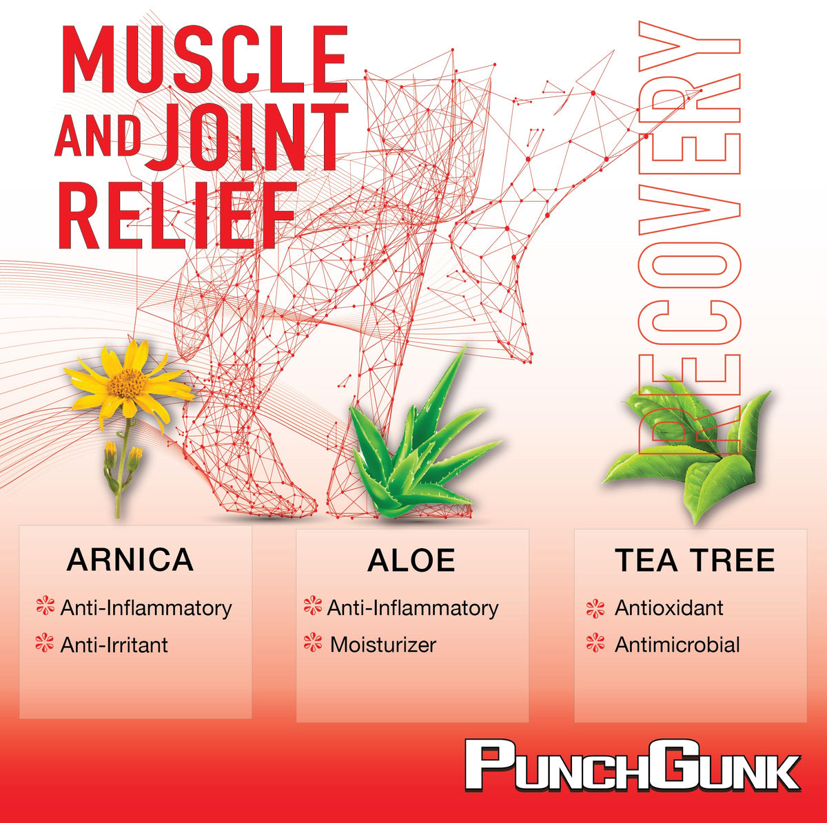 PunchGunk Muscle and Joint Relief Cream for Sore Muscles and Joints, Non Greasy, Naturally Advanced Lotion with Arnica, Aloe & Tea Tree 3.0oz PUNCHGUNKBuy Supplements Australia