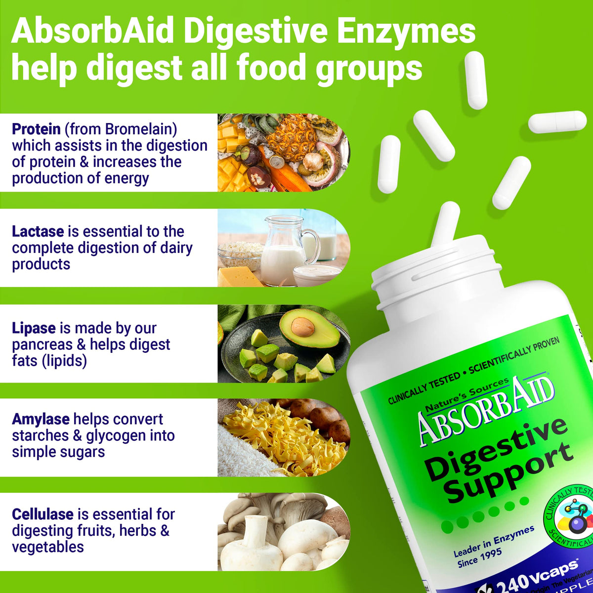 AbsorbAid Digestive Enzymes 240 vCaps, Proven to Increase Vital Nutrient Absorption by up to 71% - Maple Wellness Supplements