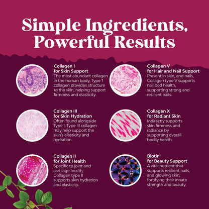 Advanced Multi Collagen Complex - Ageless Multi Collagen Peptides Supplements with Type 1 2 3 5 & X & Biotin for Hair, Skin and Nails Vitamins - Biotin Supplements for Women & Men - 90 Count - Maple Wellness Supplements