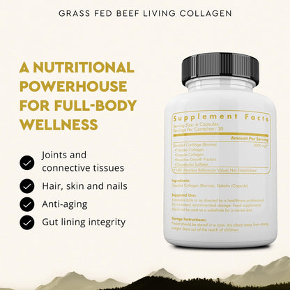 Ancestral Supplements Grass Fed Beef Living Collagen Nutritional Powder Supplement, 3000mg, Promotes Healthier, Younger Looking Skin, Hair - Maple Wellness Supplements