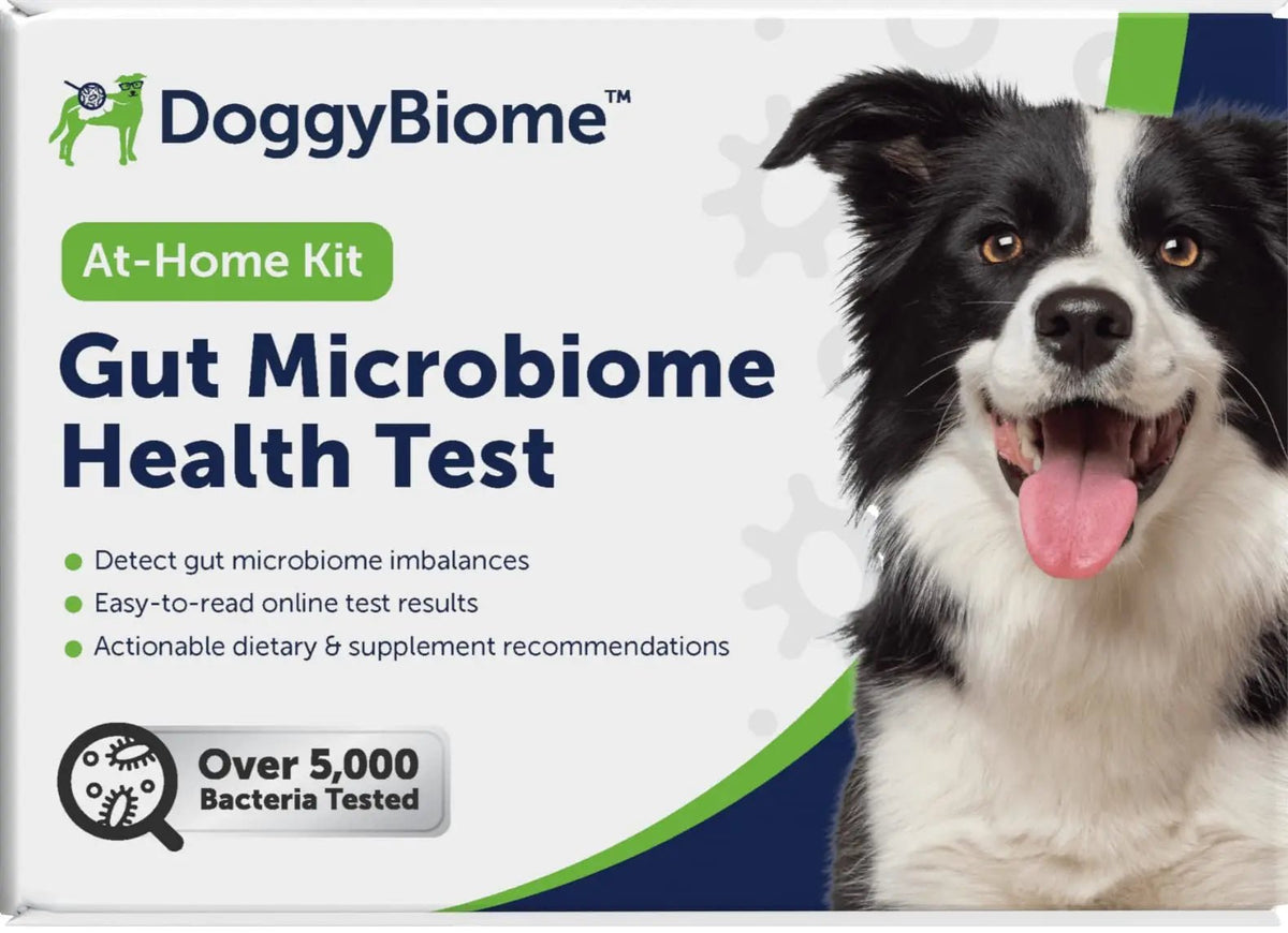 AnimalBiome Dog Gut Health Test – DoggyBiome At Home Stool Testing Kit, Canine Fecal Analysis for Digestive Issues, Diarrhea & Allergy Insights w/Personalized Report & Custom Plan (Dogs in US) - Maple Wellness Supplements