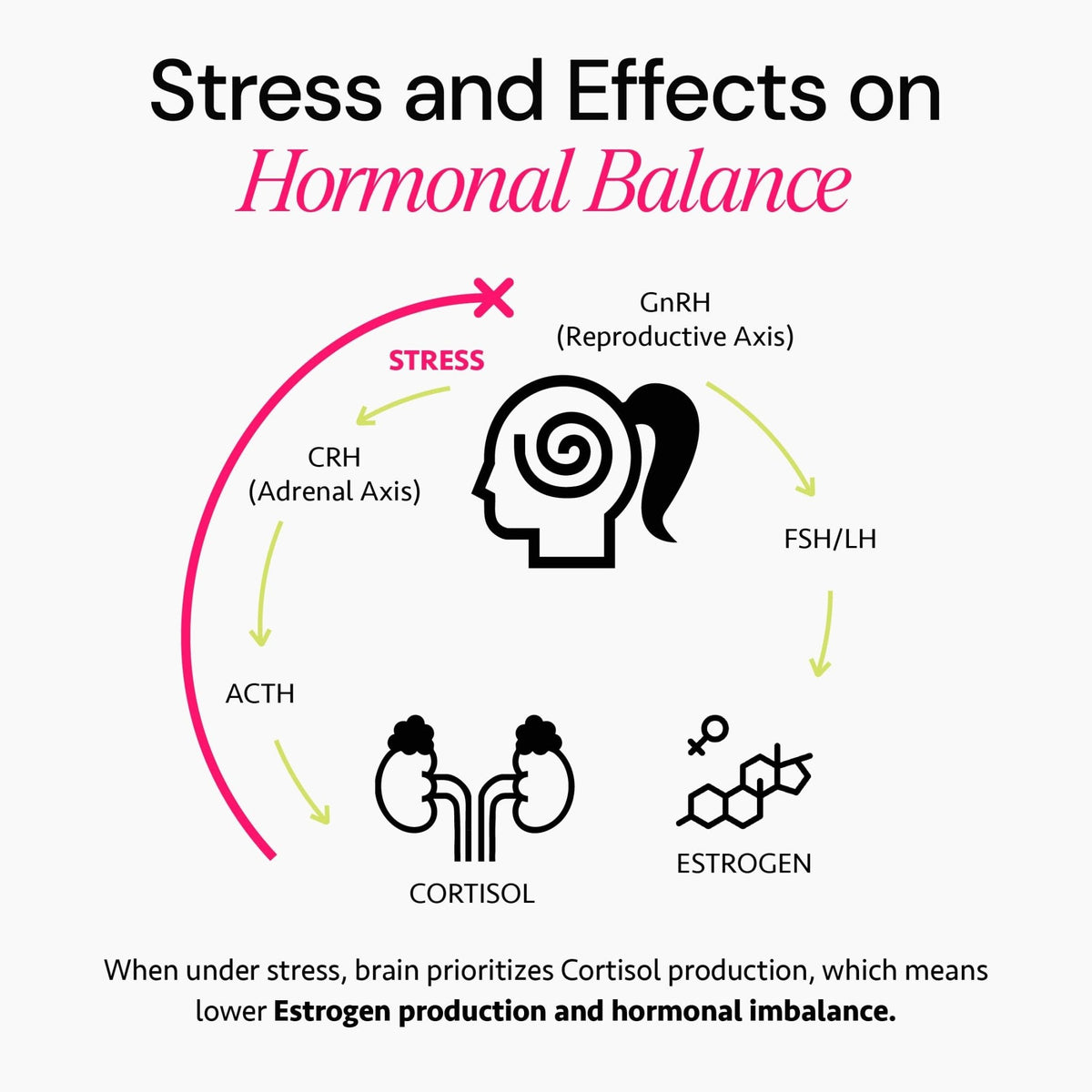 Ayurvedic Hormone Balance for Women | Cortisol Reducer | Mood, Energy, & Sleep Support | Regulates Estrogen | Stress Relief | Ashwagandha, Rhodiola, & Shatavari - Maple Wellness Supplements