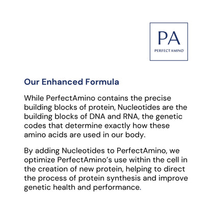 BodyHealth PerfectAmino (300 Tablets) Essential Amino Acid Supplement with EAA, Muscle Recovery, Boost Energy & Stamina, 99% Utilization - Maple Wellness Supplements