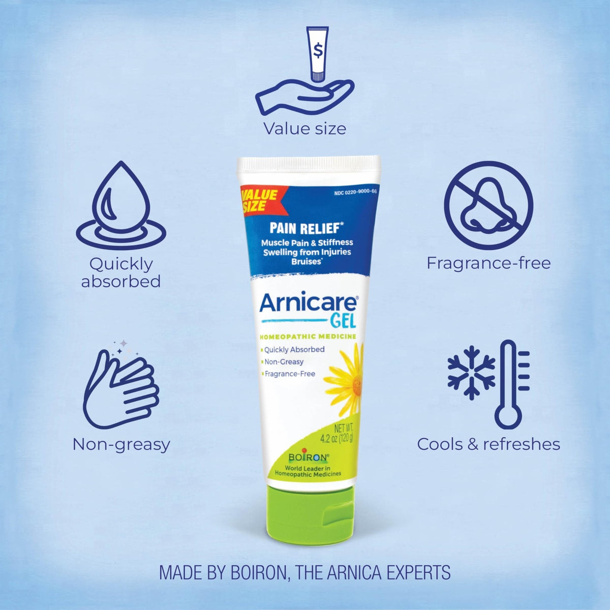 Boiron Arnicare Gel for Relief of Joint Pain, Muscle Pain, Muscle Soreness, and Swelling from Bruises or Injury - Non-greasy and Fragrance-Free - 4.2 oz - Maple Wellness Supplements