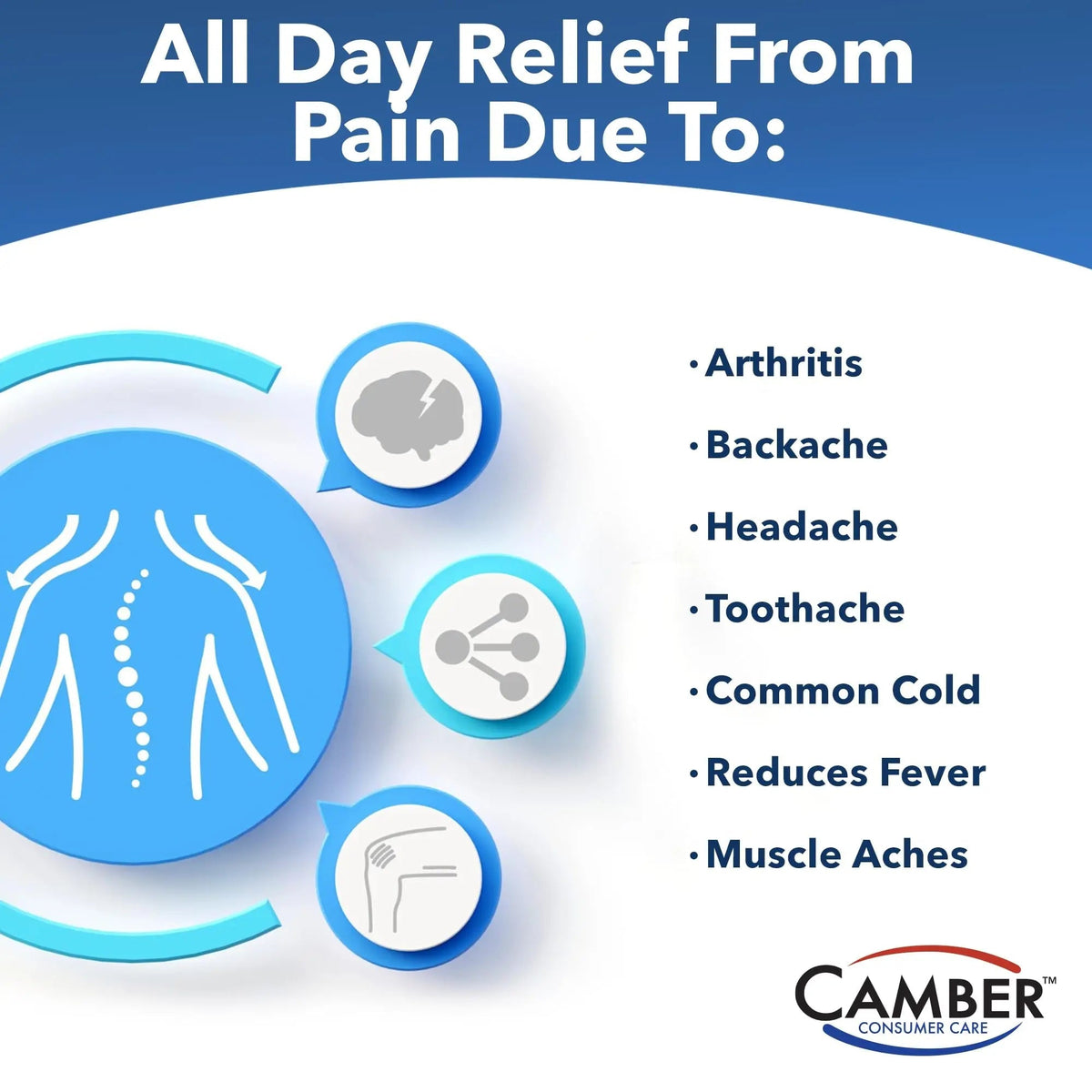 Camber Naproxen Sodium, 220 mg - Pain Reliever and Fever Reducer (500 Count) - Maple Wellness Supplements