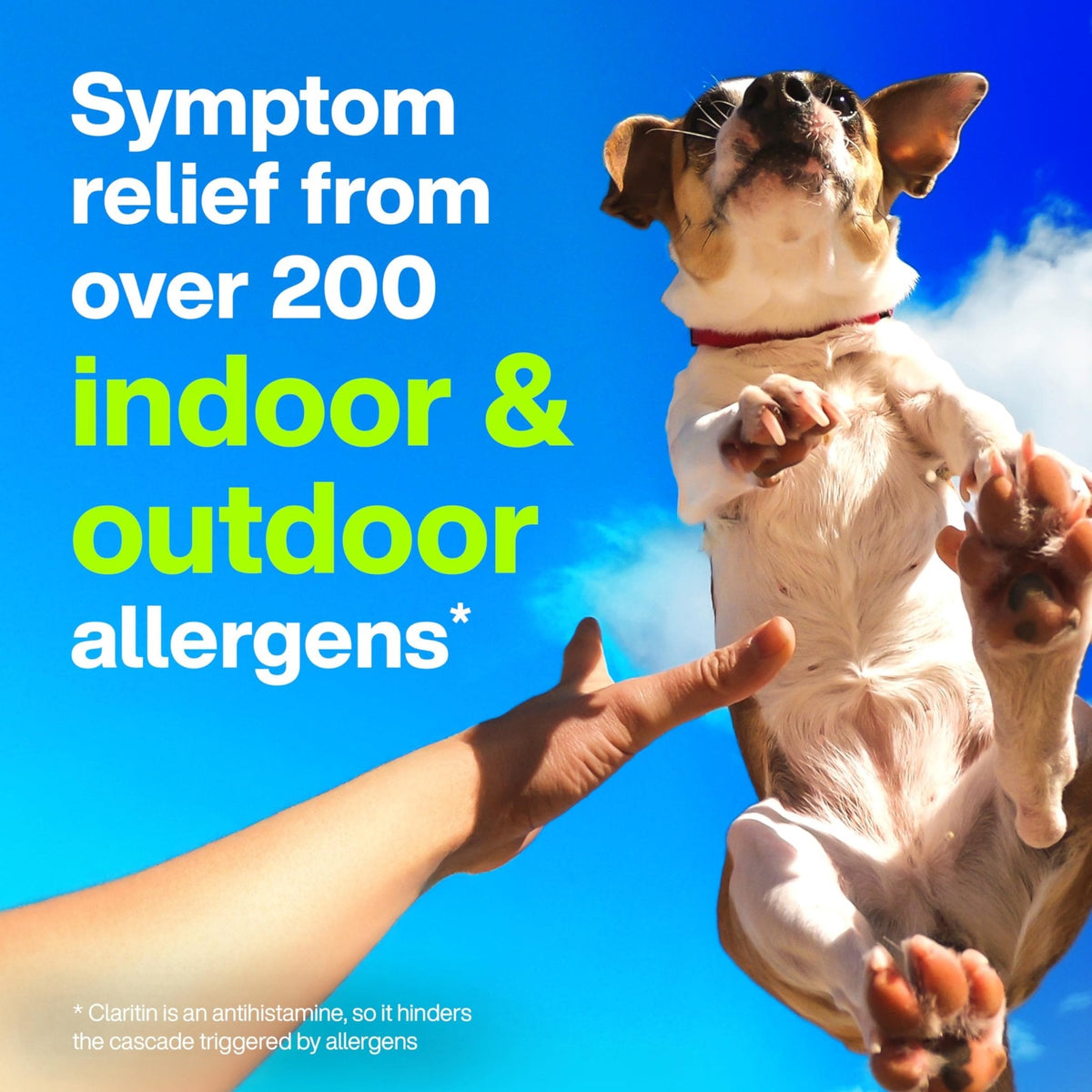 Claritin Allergy Medicine for Adults, 24-Hour Non-Drowsy Loratadine 10mg Pills, Antihistamine, 30 Tablets + 1ct On-The-Go Relief - Maple Wellness Supplements