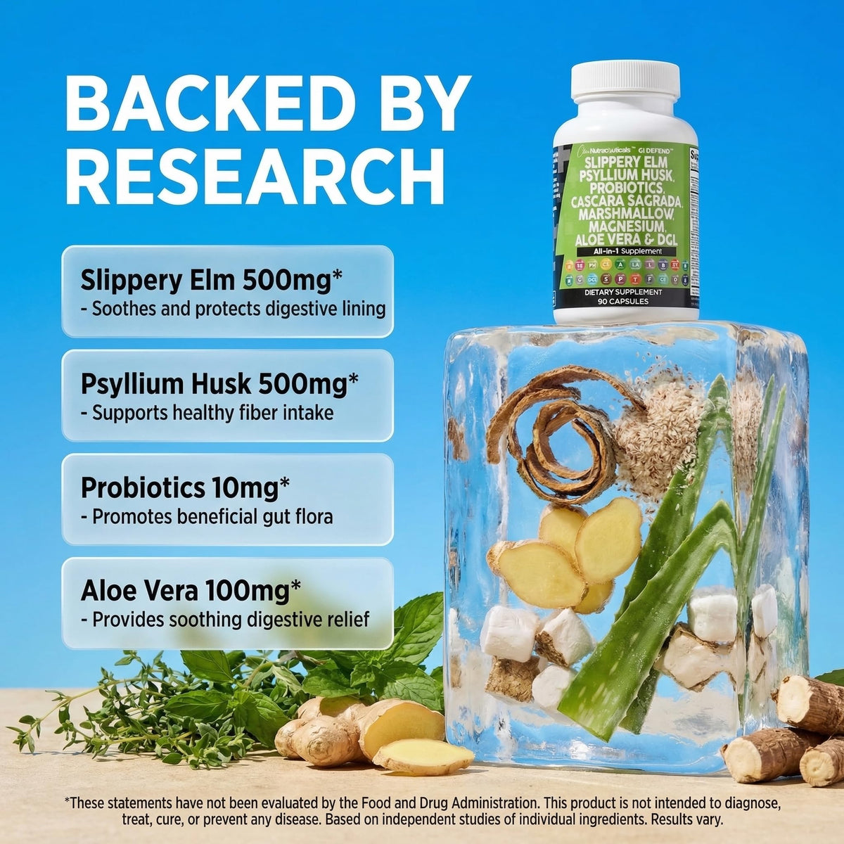 Clean Nutraceuticals Slippery Elm Psyllium Husk Pre Probiotic Digestive Gut Health Supplement with Aloe Vera Cascara Sagrada - Maple Wellness Supplements