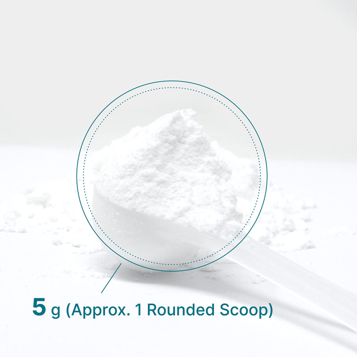DEAL SUPPLEMENT Instant Creatine Monohydrate Powder, 5g Per Serving – 60 Servings | Micronized, Unflavored, Fast Absorbing Formula - Maple Wellness Supplements